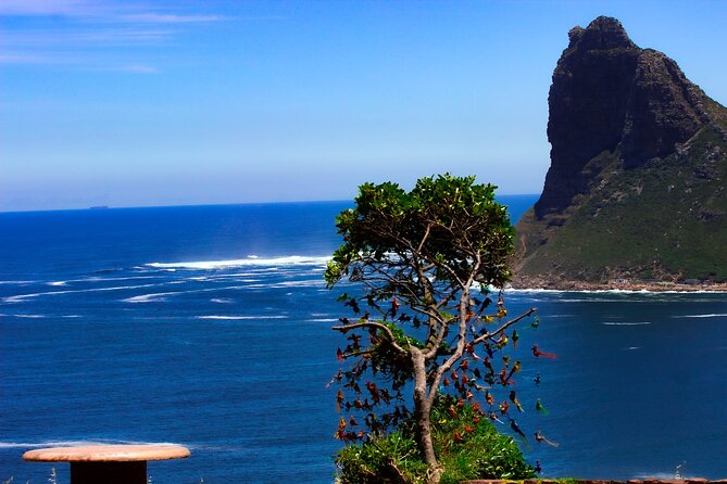 Cape Peninsula Private Tour Include Park Fees - Cape of Good Hope and Cape Point: lighthouse views and the oceans’ meeting idea