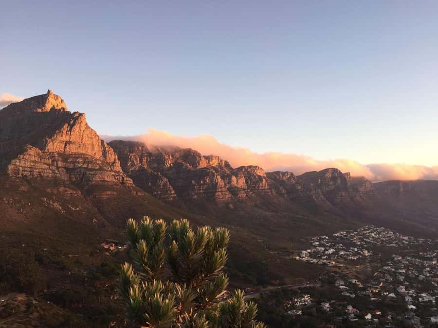 Cape Peninsula Shared Half-Day Tour - Key Highlights at a Glance