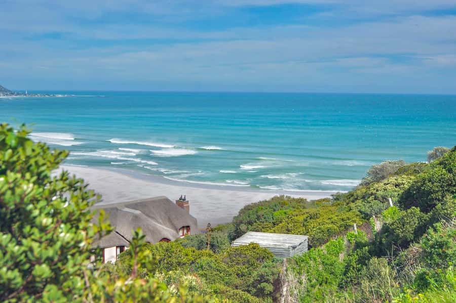 Cape Peninsula Shared Half-Day Tour - Cape of Good Hope Nature Reserve: Rugged Flora and Ocean Energy