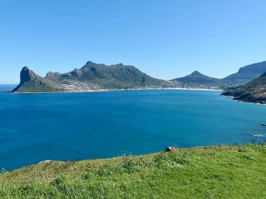 Cape Peninsula Shared Half-Day Tour - Price and Pace at $87: Smart Value, But Go in With Eyes Open