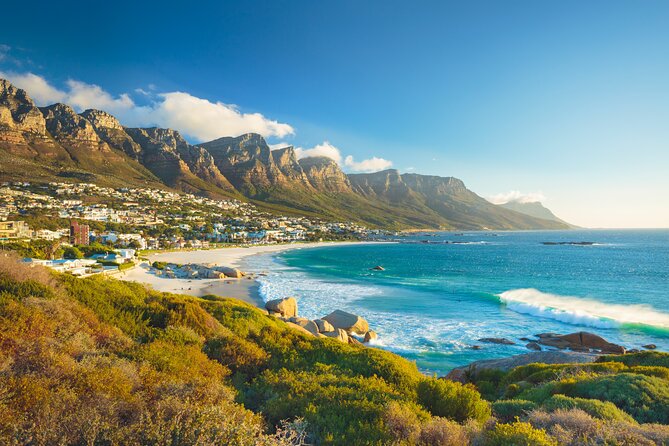 Cape Peninsula Sightseeing Tour - Cape Peninsula day tour from Cape Town CBD, with real time at the good spots