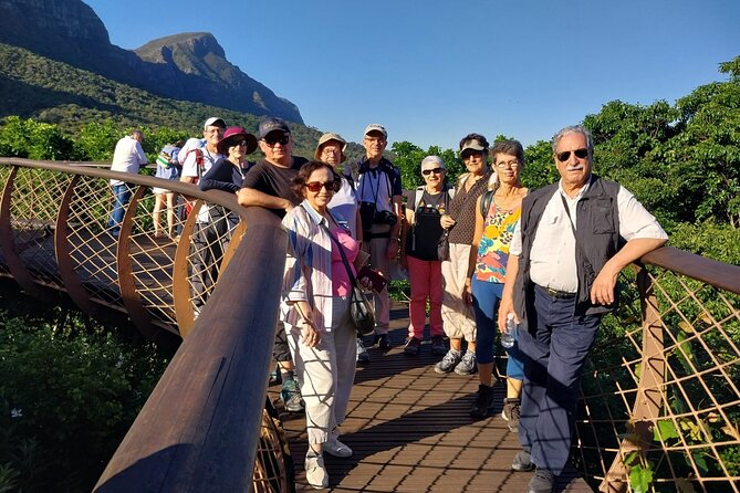 Cape Peninsula Tour Cape Town City - Kirstenbosch Botanical Garden: the “not just coastal views” hour