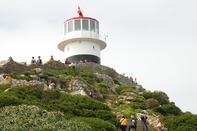 Cape Peninsula Tours - Cape Point Guided Tour: Two Oceans and the Cape of Good Hope Coast