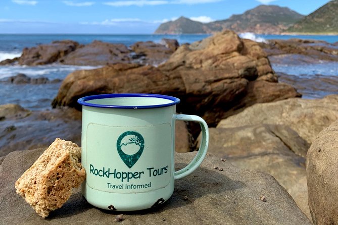 Cape Peninsula with a Marine Biologist - What you actually get included, and why it adds value