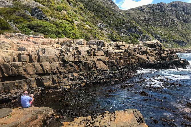 Cape Peninsula with a Marine Biologist - Price and the extra costs you should plan for