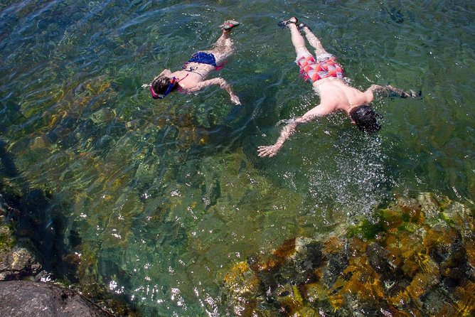 Cape Peninsula with a Marine Biologist - How flexible is the route, and what that means for you