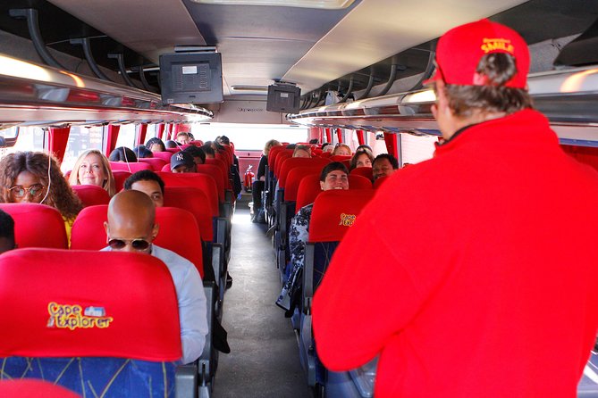Cape Point and Boulder's Penguins Full Day Tour - From Muizenberg Surfer Huts to Boulders Beach Penguins
