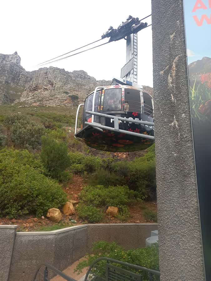cape point and penguin ,muizenberg, bookapp - Price and logistics: what $36 really covers