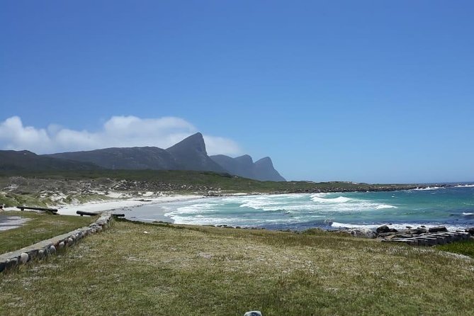 Cape Point, Boulder's Beach in Private Car Entrance Fees Included - Hout Bay, with the seals island option