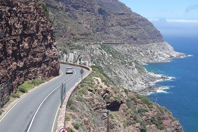 Cape Point, Boulder's Beach in Private Car Entrance Fees Included - Cape of Good Hope and Cape Point by car, and what you should expect