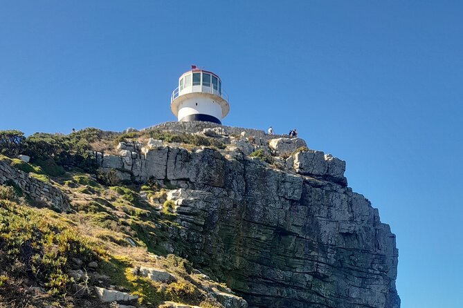 Cape Point Cape Of Good Hope And Penguins Private Tour - Your Private Day Trip Starts in Cape Town, Then Moves Fast