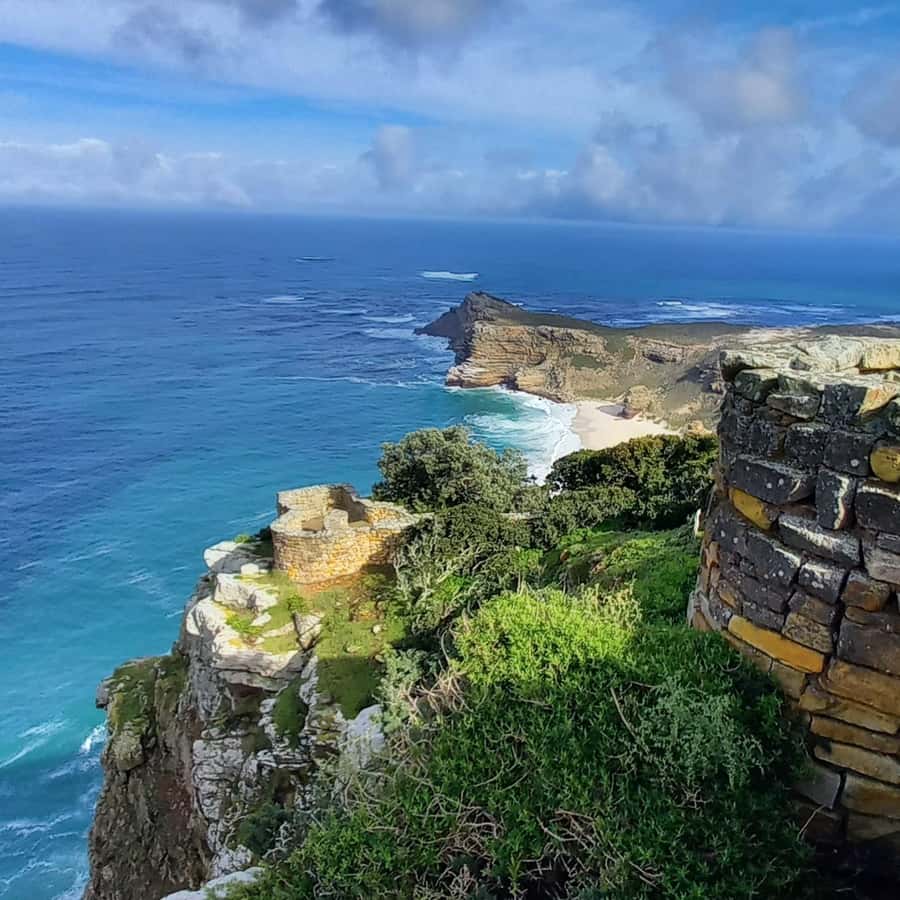 Cape Point Cape of Good Hope, Penguins Private Half day Tour - Boulders Beach African Penguins on the Return