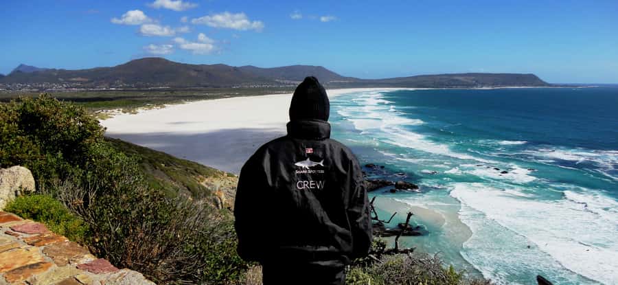 Cape Point Cape of Good Hope, Penguins Private Half day Tour - Price and What You Really Get for $165