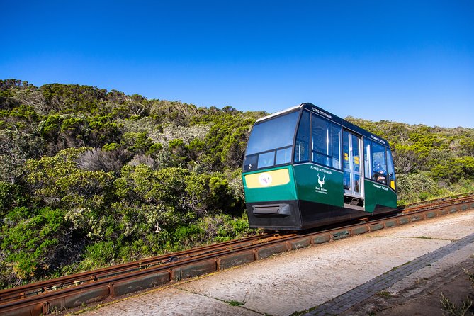 Cape Point Flying Dutchman Funicular Return Ticket - Don’t Forget the Final Walk: Steps and the 600m Road Reality