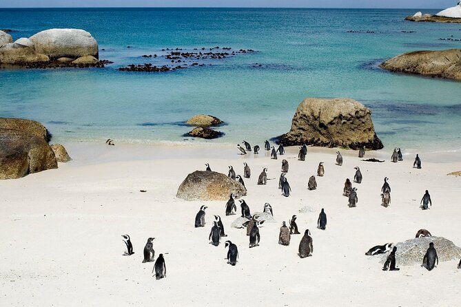 Cape Point Full Day Tour - Cape Point Nature Reserve and the two oceans meet