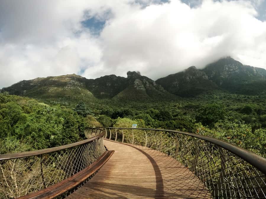 Cape Point Full-Day Tour From Cape Town - Chapmans Peak Drive: The Quick Stop That Still Makes the Day