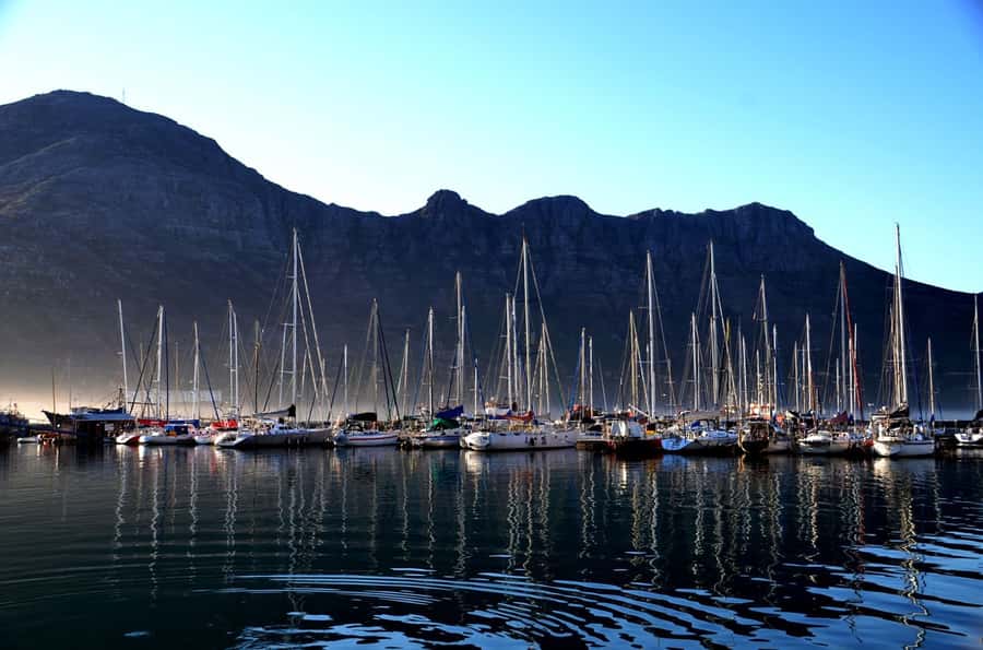 Cape Point Full-Day Tour From Cape Town - Hout Bay Break, Arts and Crafts, and the Optional Seal Island Boat Ride