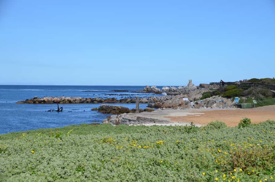 Cape Point Full-Day Tour From Cape Town - Entering Cape Point: Lighthouse Views and the Walk vs Funicular Choice