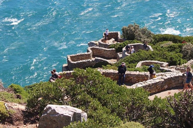 Cape Point & Penguin Explorer Tour - Price and What $161.88 Buys You in Real Terms