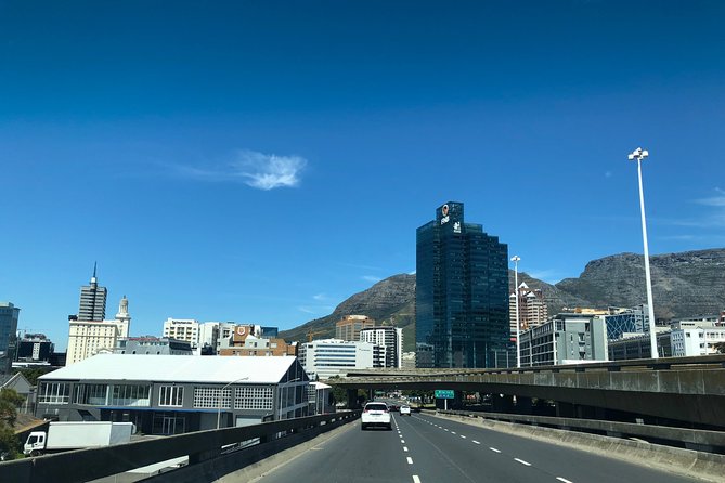 Cape Point Penguin Tour - Chapman’s Peak drive: where the road experience becomes the attraction