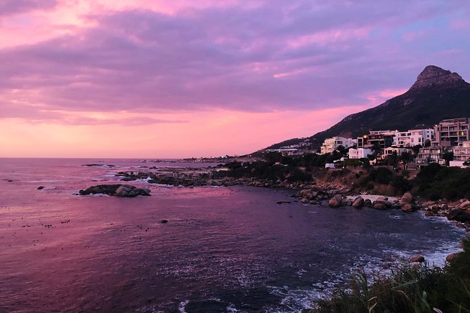 Cape Point Penguin Tour - Simon’s Town and Boulders Beach: African penguins in the wild