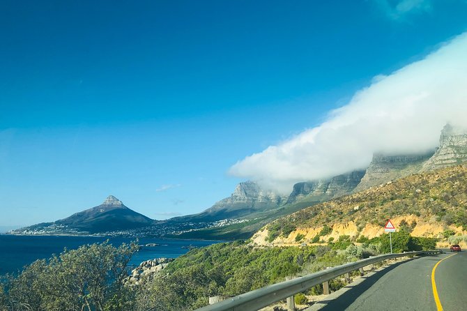 Cape Point Penguin Tour - Atlantic Seaboard stops: Clifton and Camps Bay viewpoints without the stress