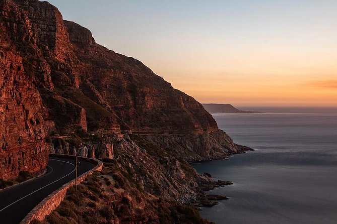 Cape Point & Penguins full day tour - From pickup to penguins, this tour is built for convenience