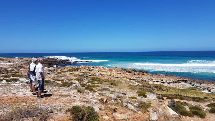 Cape Point & Penguins: Private Cape Peninsula Tour. - Simon’s Town and Boulders Beach: African penguins up close