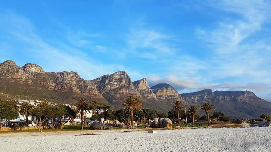 Cape Point & Penguins: Private Cape Peninsula Tour. - Cape of Good Hope Nature Reserve: cliffs, fynbos, and a landmark for explorers