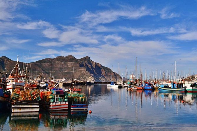 Cape Point Peninsula Tour (Cape To Grape Wine Tours) - Cape of Good Hope and Cape Point Nature Reserve: lighthouse views and wildlife habitat