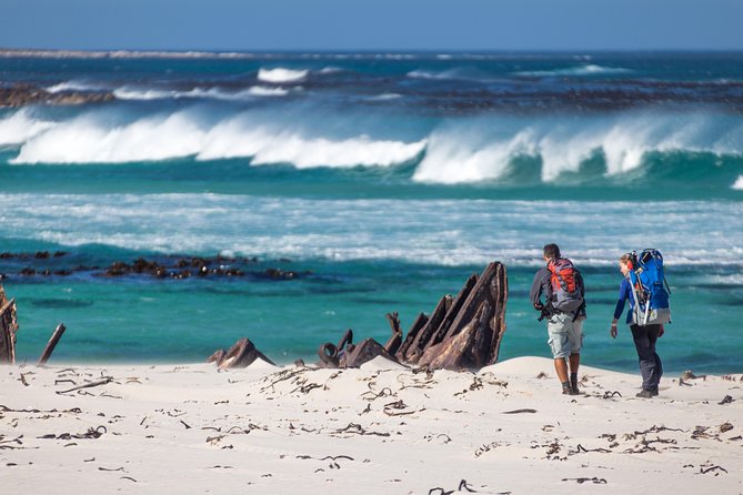 Cape Point Private Nature Tour & Hike - Chapmans Peak Drive: the classic return with big coastal views