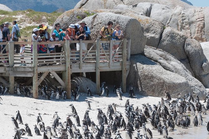 Cape Point Sightseeing Tour including Cape of Good Hope full day from Cape Town - Getting there: hotel pickup, small-group pace, and time math