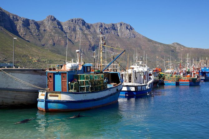 Cape Point Sightseeing Tour including Cape of Good Hope full day from Cape Town - Hout Bay, seals in the harbor, and the optional Duiker Island boat