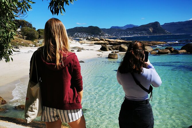 Cape Point Xplorer - Lunch: fish and chips included, with vegan and vegetarian options