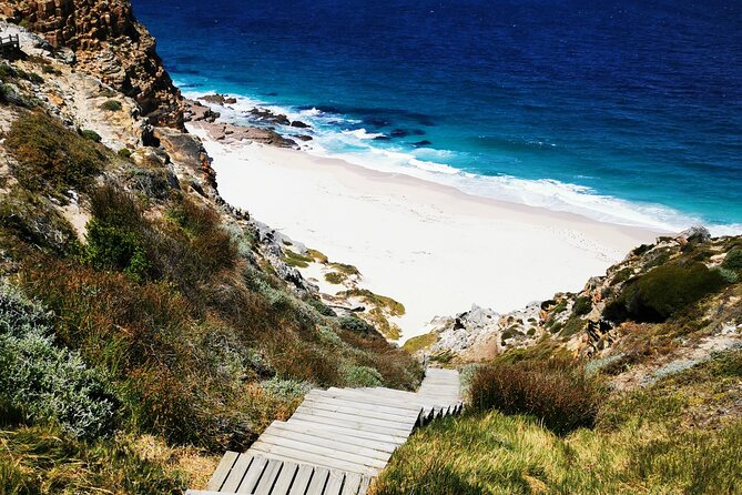 Cape Point Xplorer - Cape Point Nature Reserve and the lighthouse, plus the Cape of Good Hope choice
