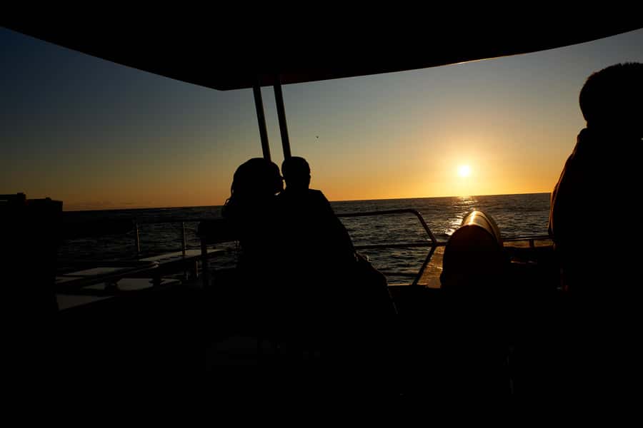 Cape Town: 1.5-Hour Luxury Sunset Cruise with Prosecco - Key things to know before you board