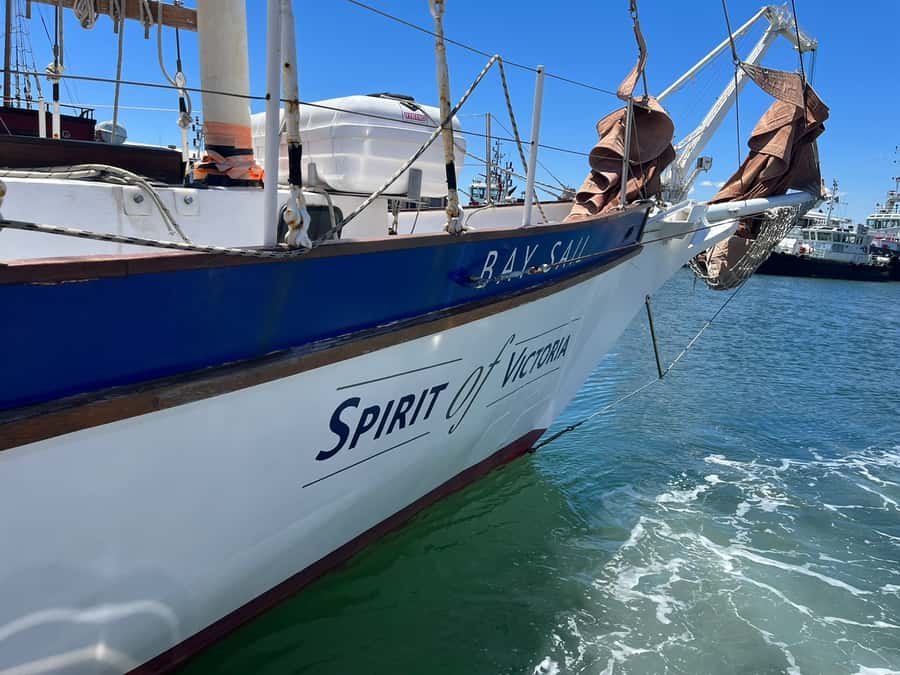 Cape Town: 1 Hour Table Bay Sailing Tour - Key reasons this 1-hour sailing tour is worth your time