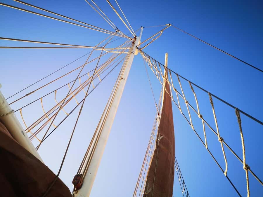 Cape Town: 1 Hour Table Bay Sailing Tour - Price and value: is $21 a fair trade for 60 minutes?