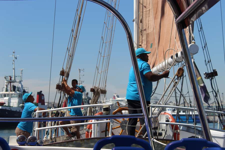 Cape Town: 1 Hour Table Bay Sailing Tour - Who this tour fits best (and who should choose differently)