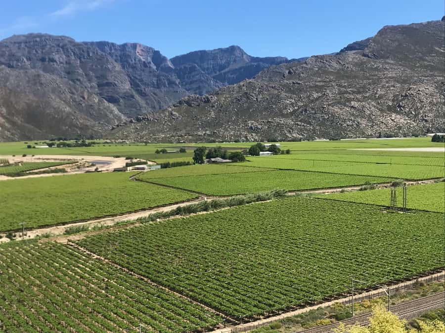 Cape Town: 15 Wine Tasting & Wildlife Small Group Tour - Key highlights worth planning around