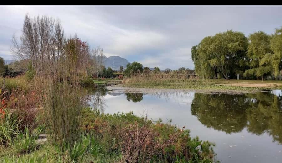 Cape Town: 15 Wine Tasting & Wildlife Small Group Tour - Vredenheim Wine Estate: first tastings plus an animal park option
