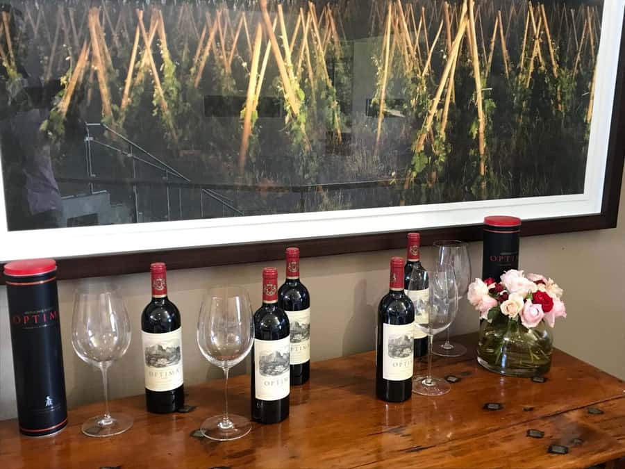 Cape Town: 15 Wine Tasting & Wildlife Small Group Tour - Stellenbosch town time: Cape Dutch charm and a guided walk