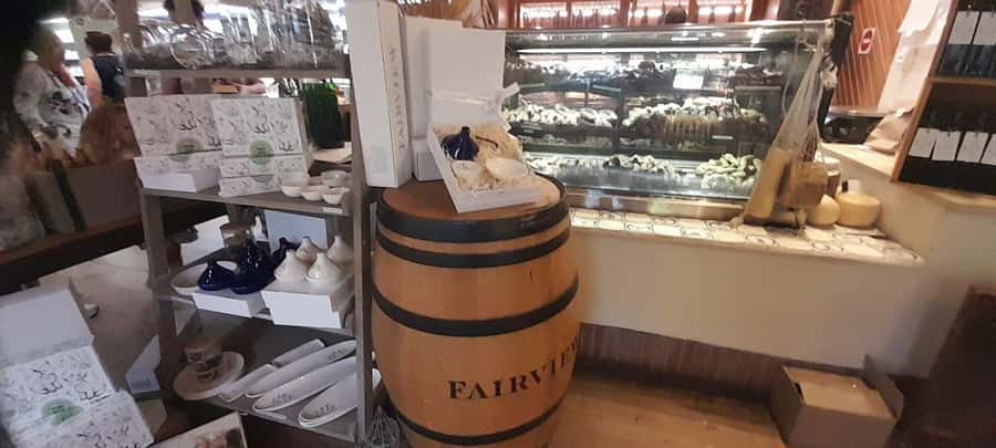 Cape Town: 15 Wine Tasting & Wildlife Small Group Tour - How the 8-hour schedule really feels, and where delays can happen
