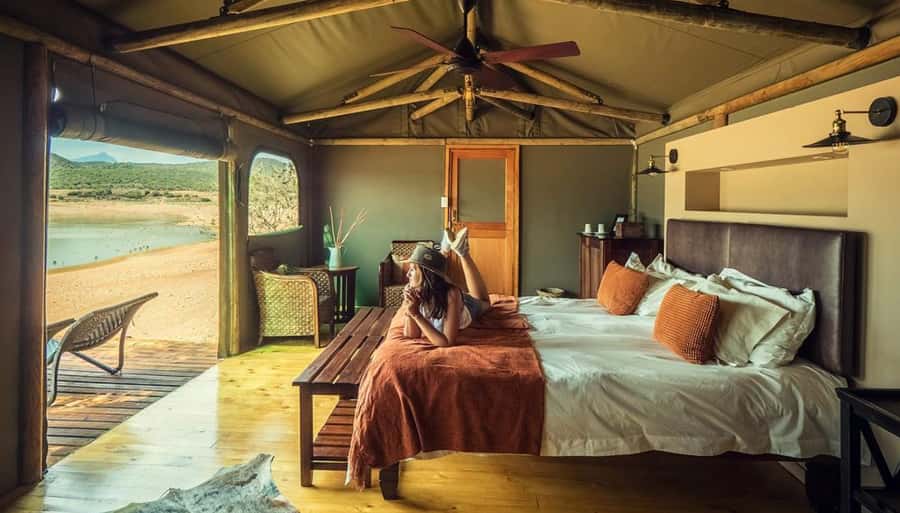 Cape Town: 2-Day Wildlife Tour with Safaris and Luxury Stay - Key highlights at a glance
