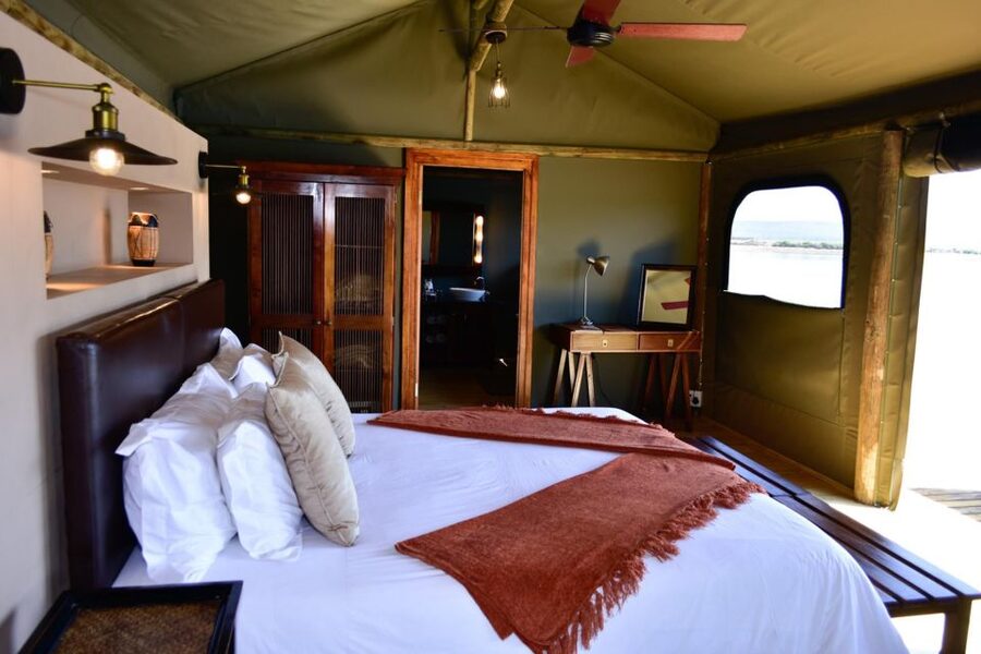 Cape Town: 2-Day Wildlife Tour with Safaris and Luxury Stay - Who this 2-day wildlife tour suits best