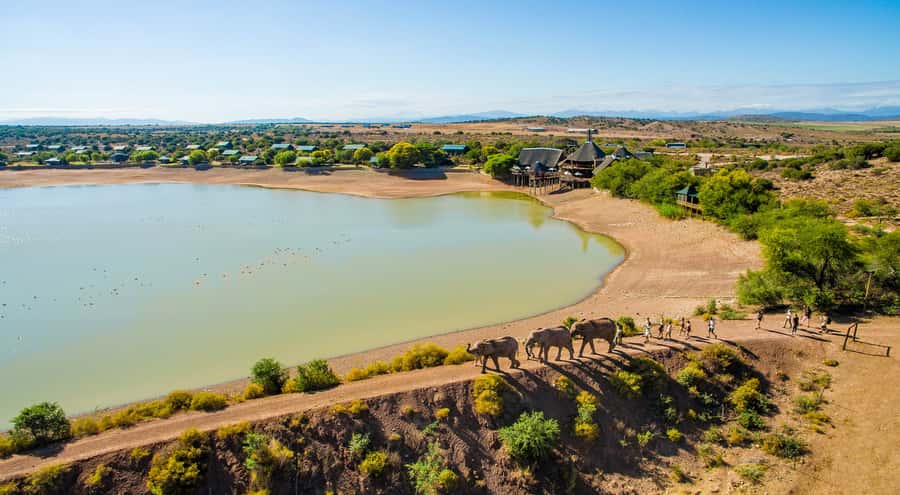 Cape Town: 2-Day Wildlife Tour with Safaris and Luxury Stay - Buffelsdrift luxury tented lodge: a Klein Karoo night worth the detour