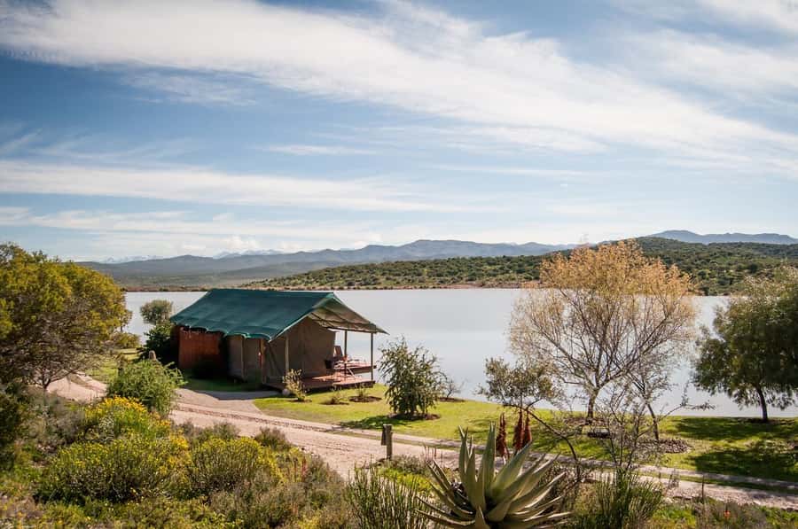 Cape Town: 2-Day Wildlife Tour with Safaris and Luxury Stay - Day 2 bush drive: finding wildlife beyond the obvious