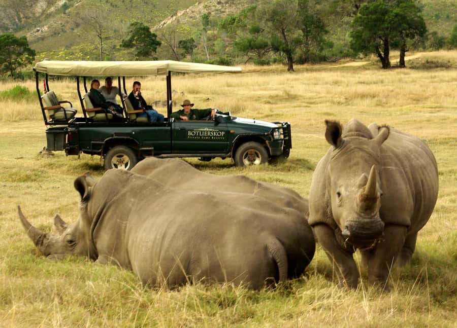 Cape Town: 2-Day Wildlife Tour with Safaris and Luxury Stay - Route 62 on the way back: the road trip part people remember