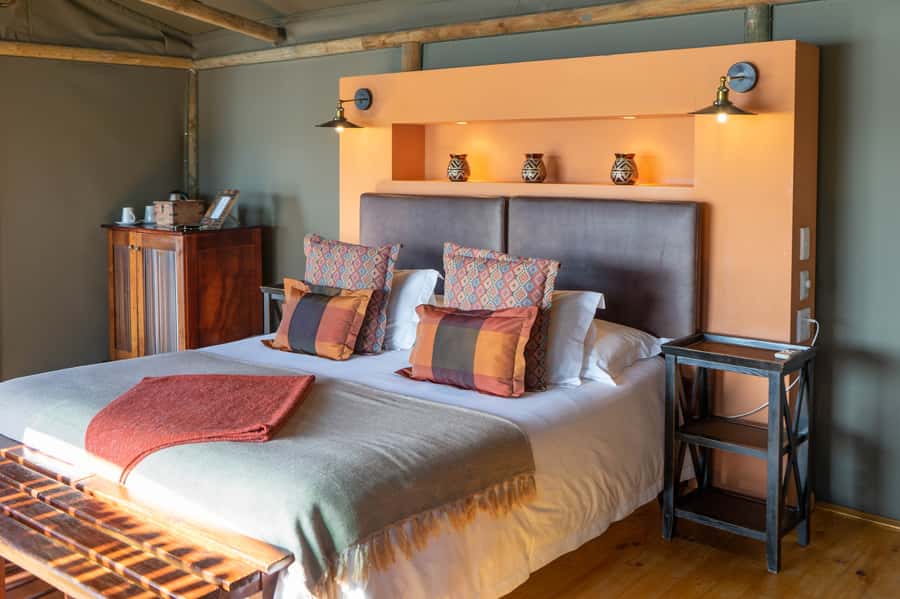 Cape Town: 2-Day Wildlife Tour with Safaris and Luxury Stay - Price and logistics: what $534 buys you, and what to watch for