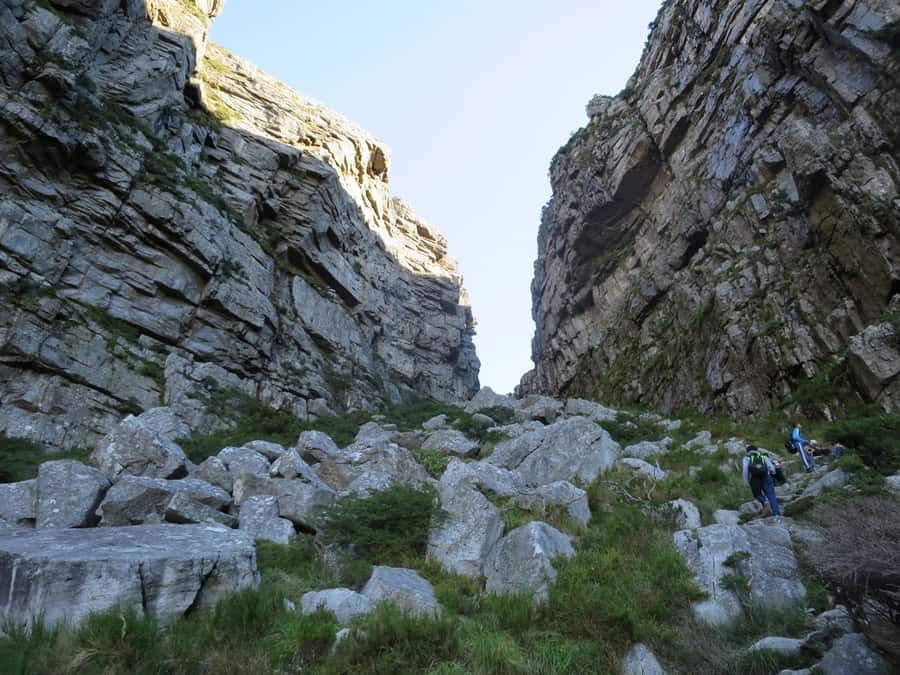 Cape Town: 3-Hour Table Mountain Hike via Platteklip Gorge - Why Platteklip Gorge Feels Like the Real Table Mountain